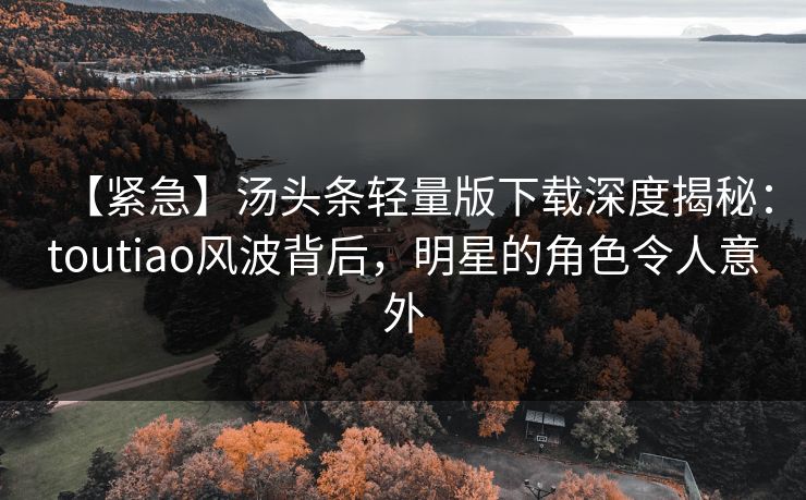 【紧急】汤头条轻量版下载深度揭秘：toutiao风波背后，明星的角色令人意外