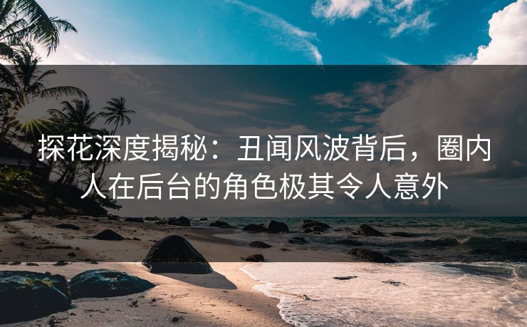 探花深度揭秘：丑闻风波背后，圈内人在后台的角色极其令人意外