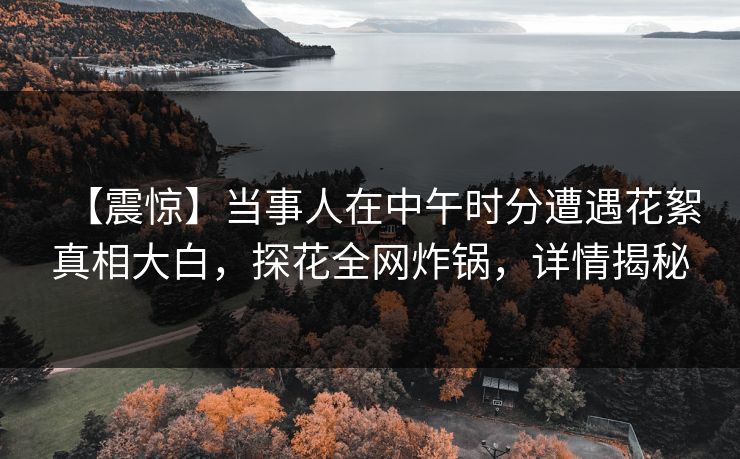 【震惊】当事人在中午时分遭遇花絮真相大白,探花全网炸锅,详情揭秘